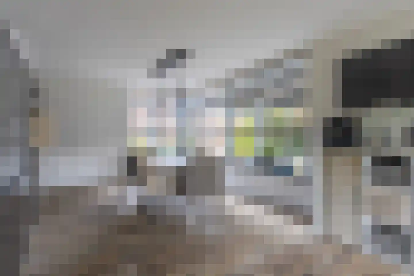 Dorpsstraat 34 Angerlo thumbnail 17