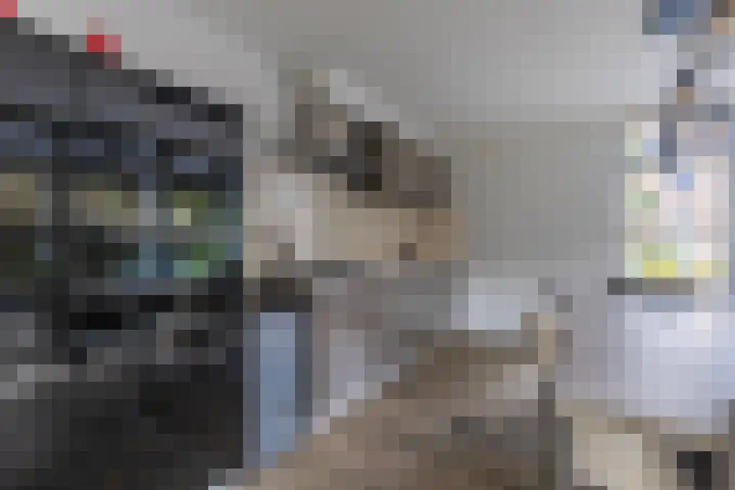 Dorpsstraat 34 Angerlo thumbnail 18