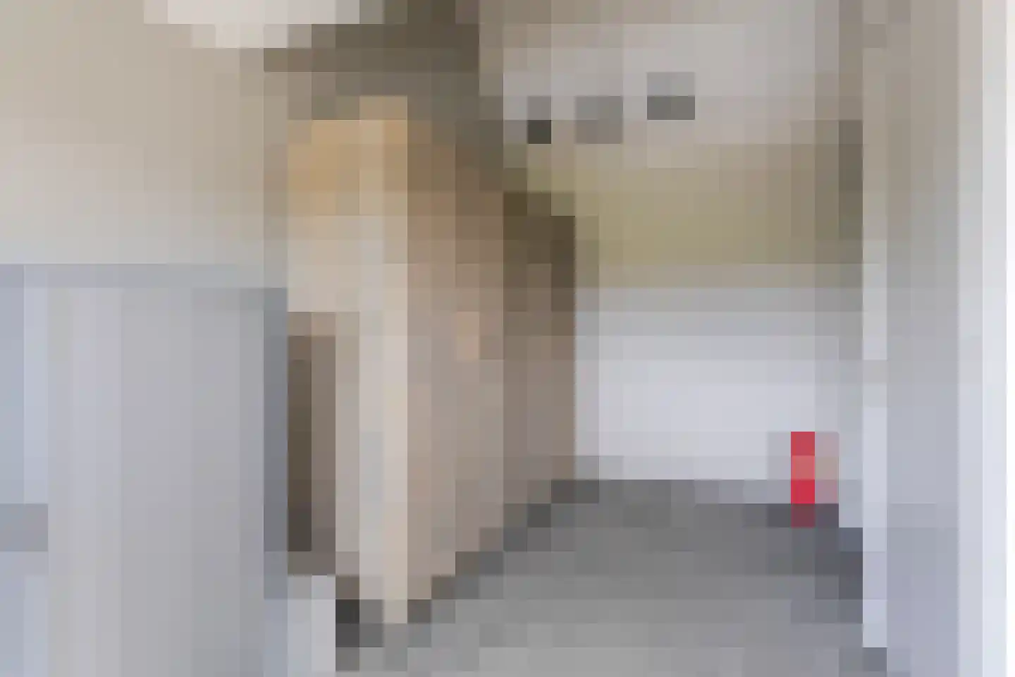 Dorpsstraat 34 Angerlo thumbnail 21