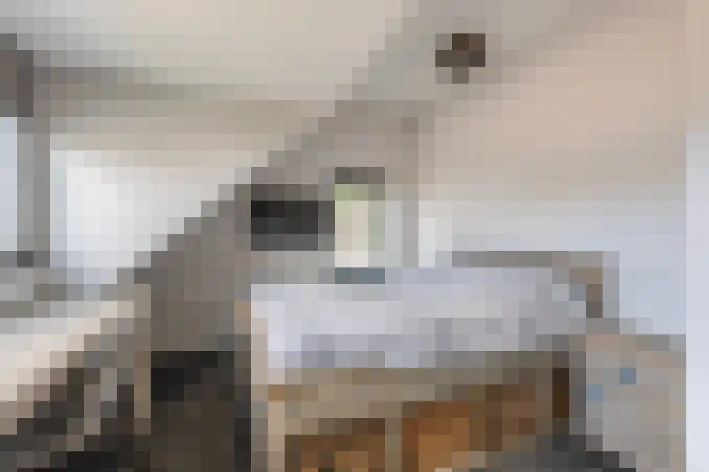 Dorpsstraat 34 Angerlo thumbnail 24