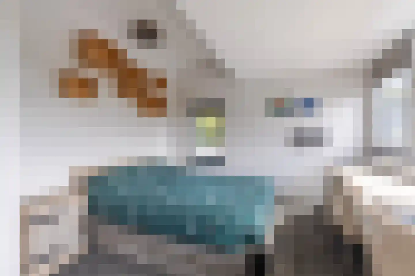 Dorpsstraat 34 Angerlo thumbnail 26