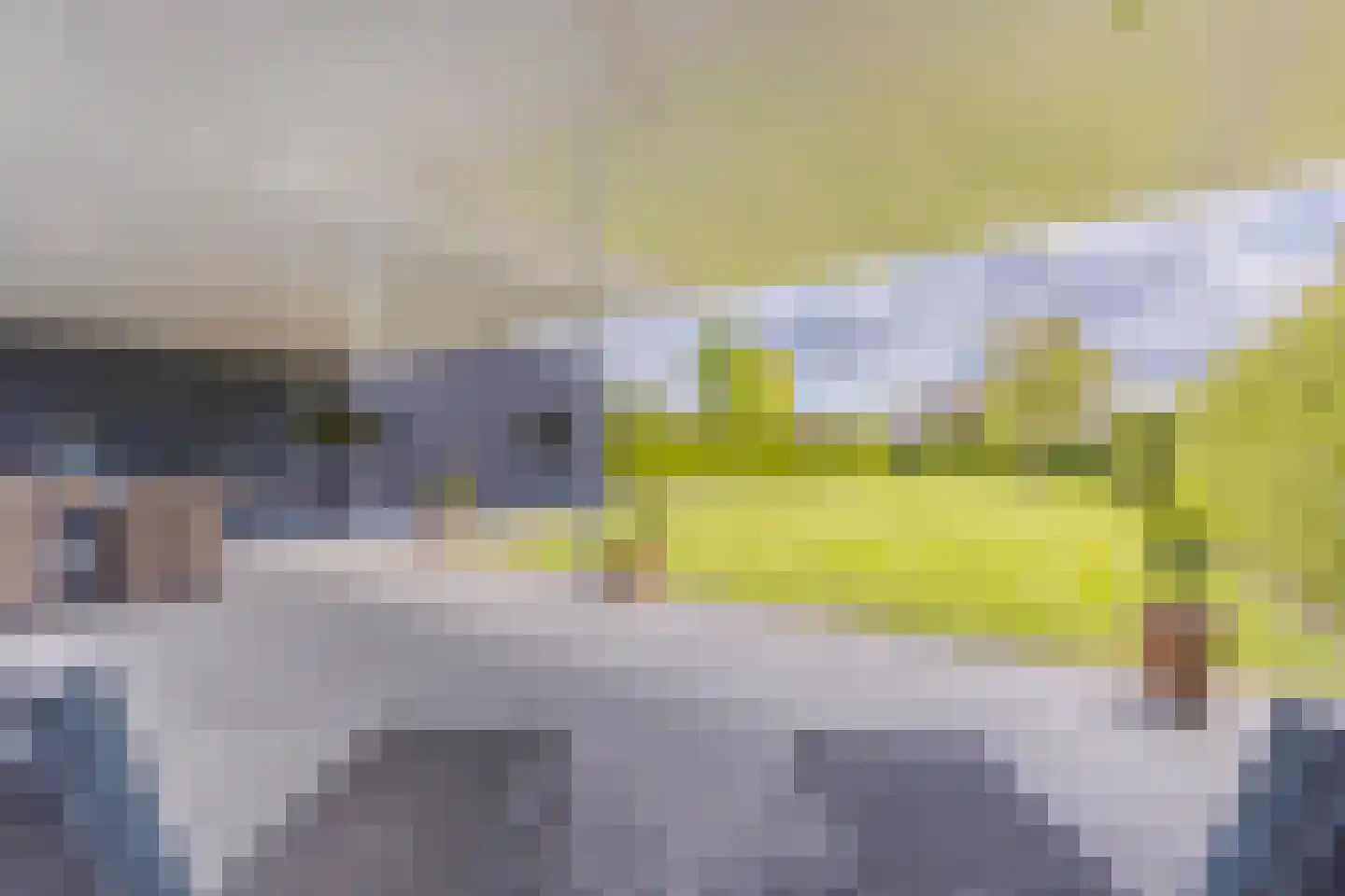 Dorpsstraat 34 Angerlo thumbnail 33