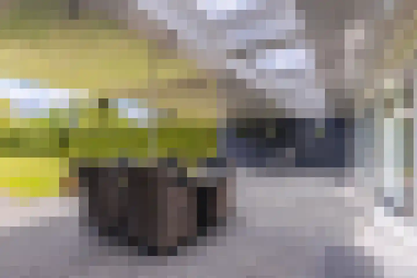 Dorpsstraat 34 Angerlo thumbnail 34