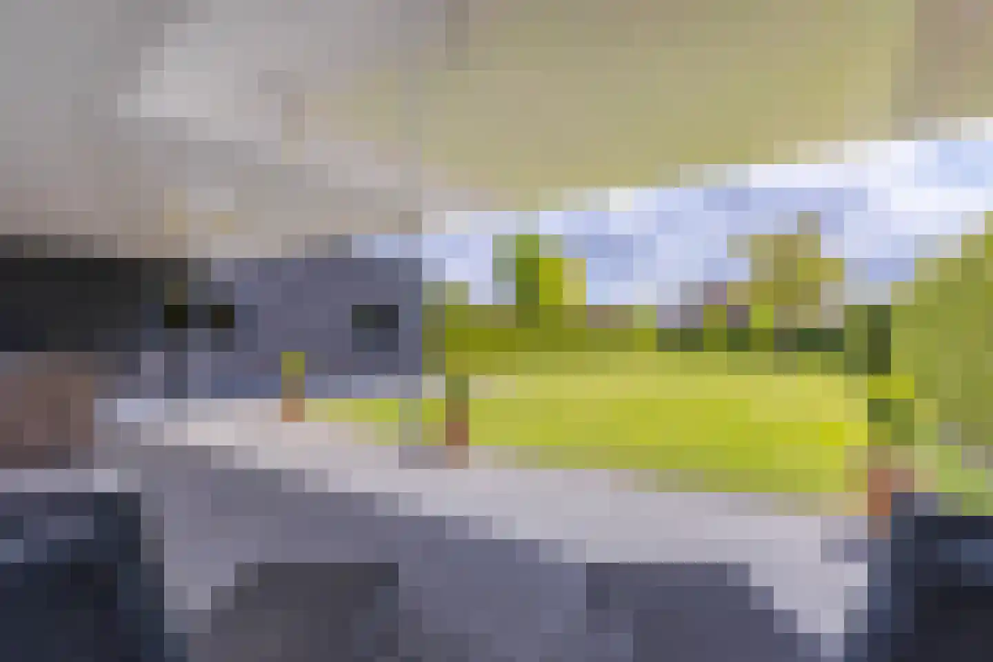 Dorpsstraat 34 Angerlo thumbnail 35