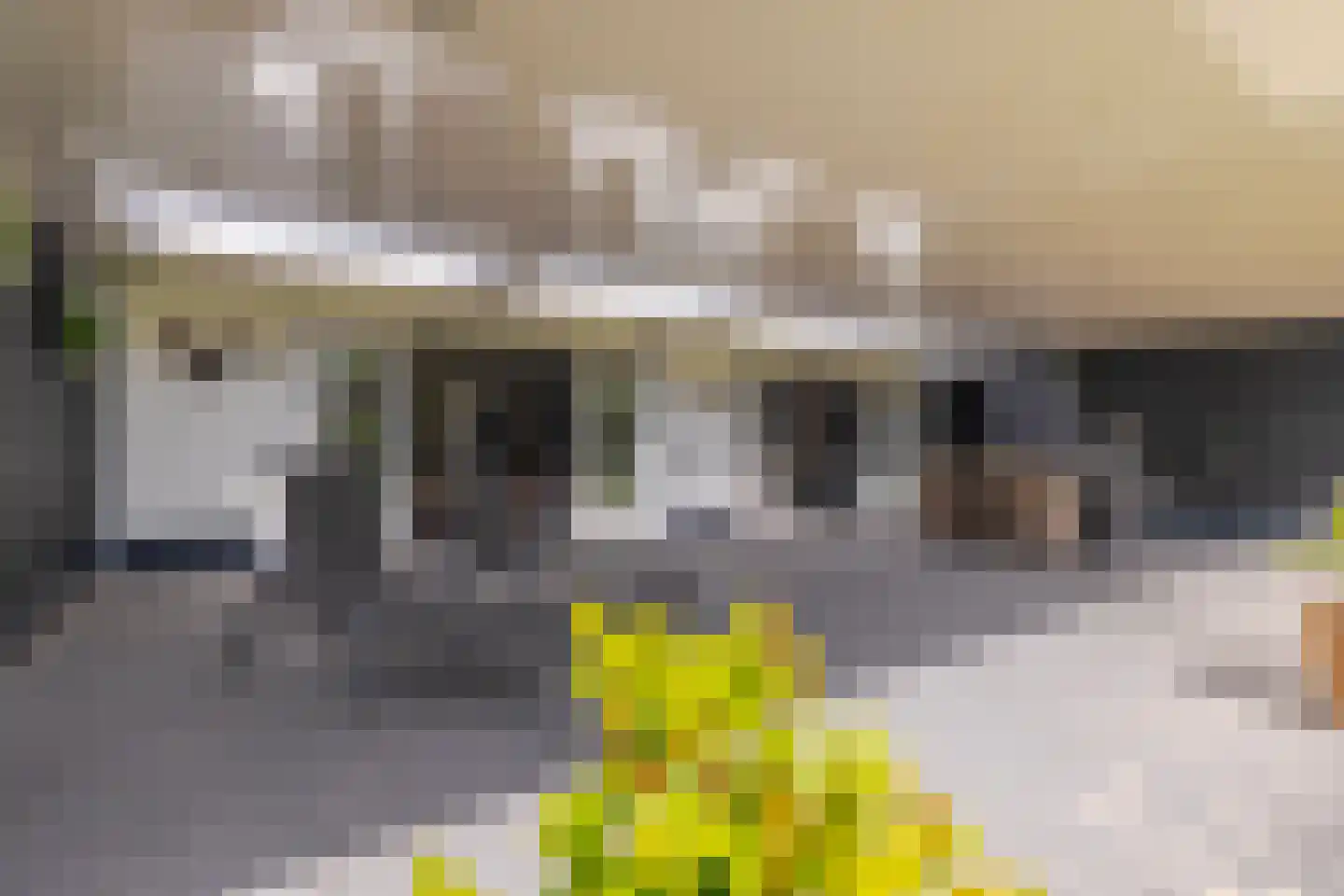 Dorpsstraat 34 Angerlo thumbnail 36