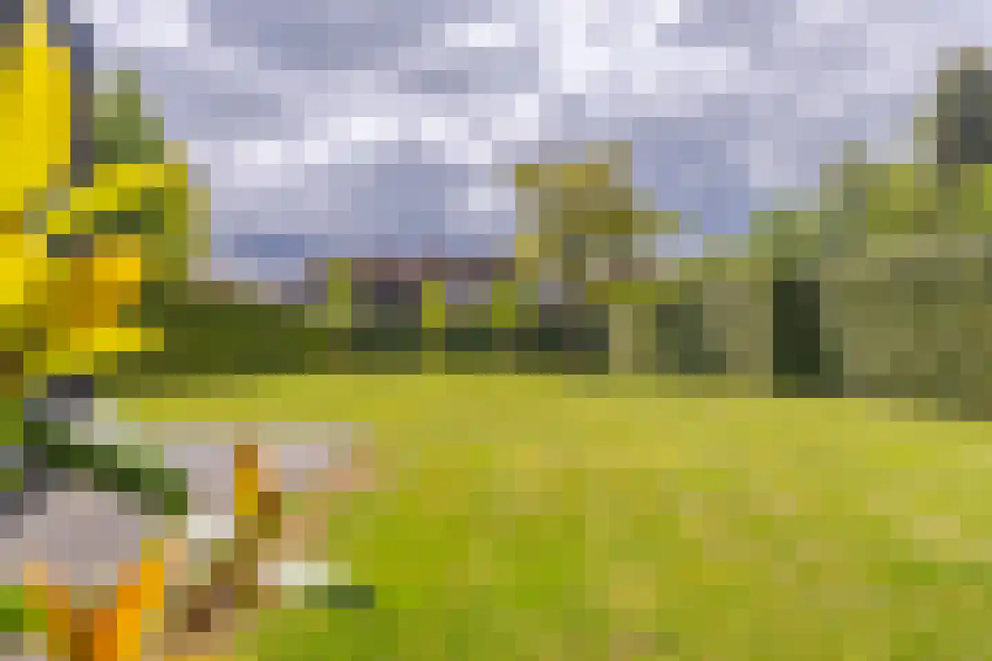 Dorpsstraat 34 Angerlo thumbnail 43
