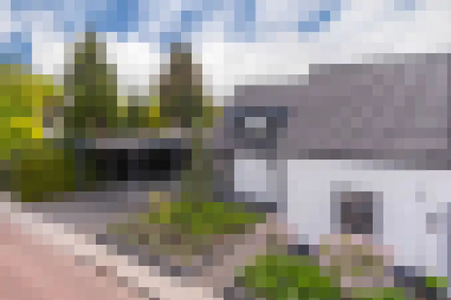 Dorpsstraat 34 Angerlo thumbnail 6
