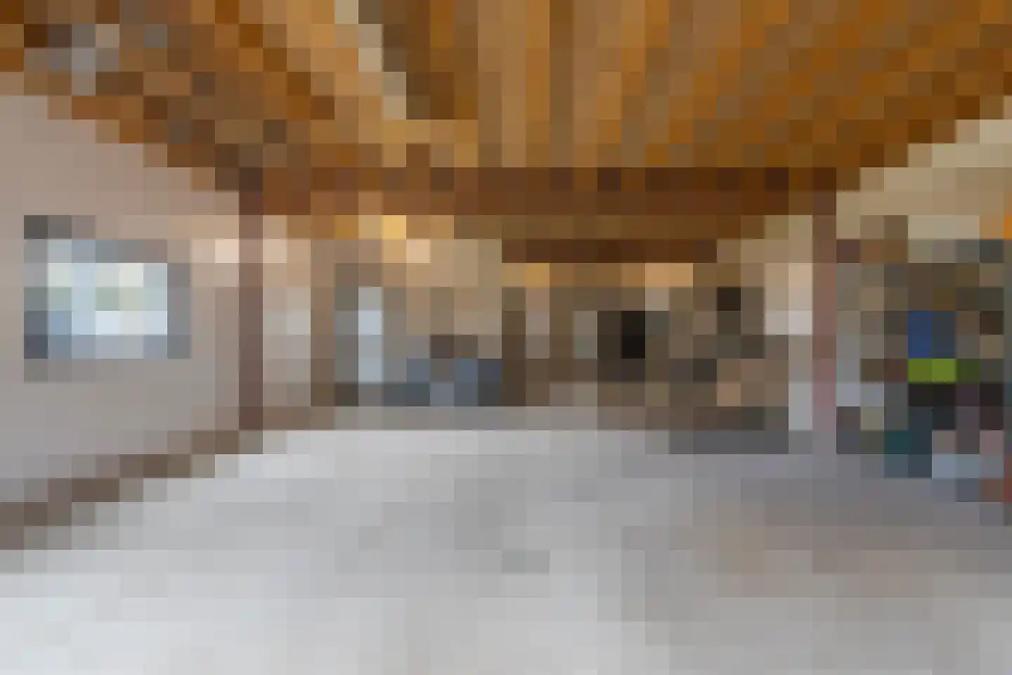 Dorpsstraat 34 Angerlo thumbnail 60