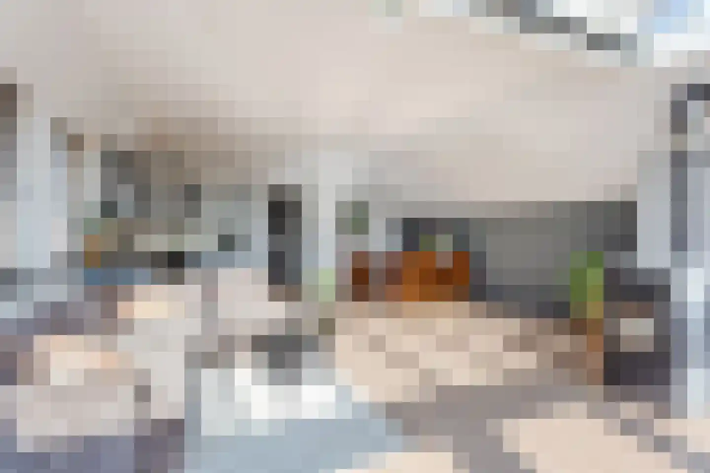 Dorpsstraat 34 B Wormer thumbnail 12