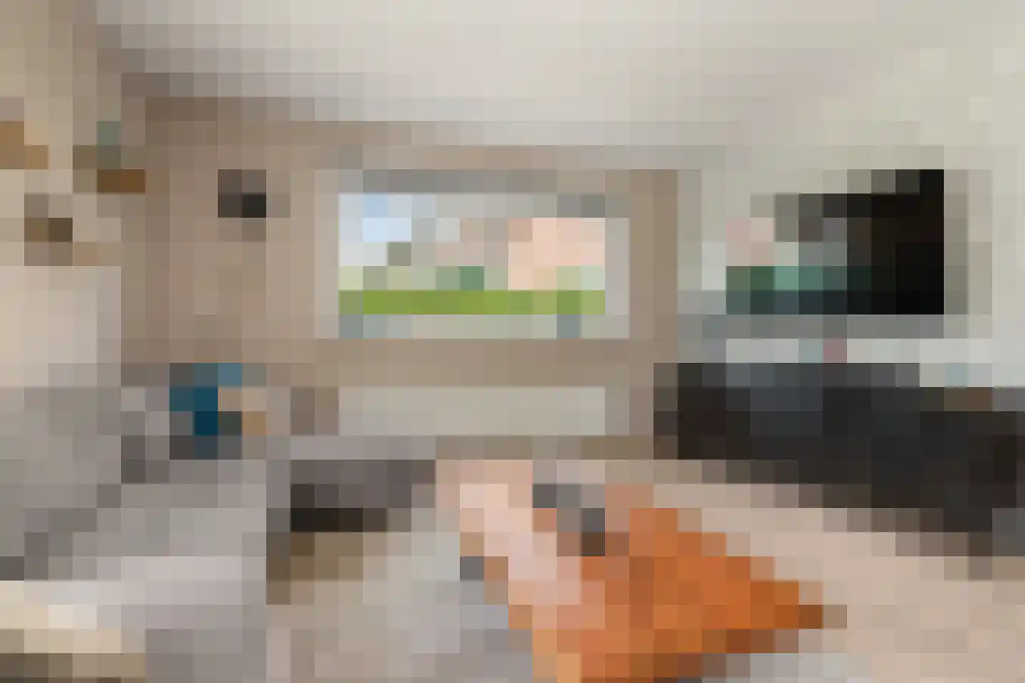 Dorpsstraat 34 Benthuizen thumbnail 12