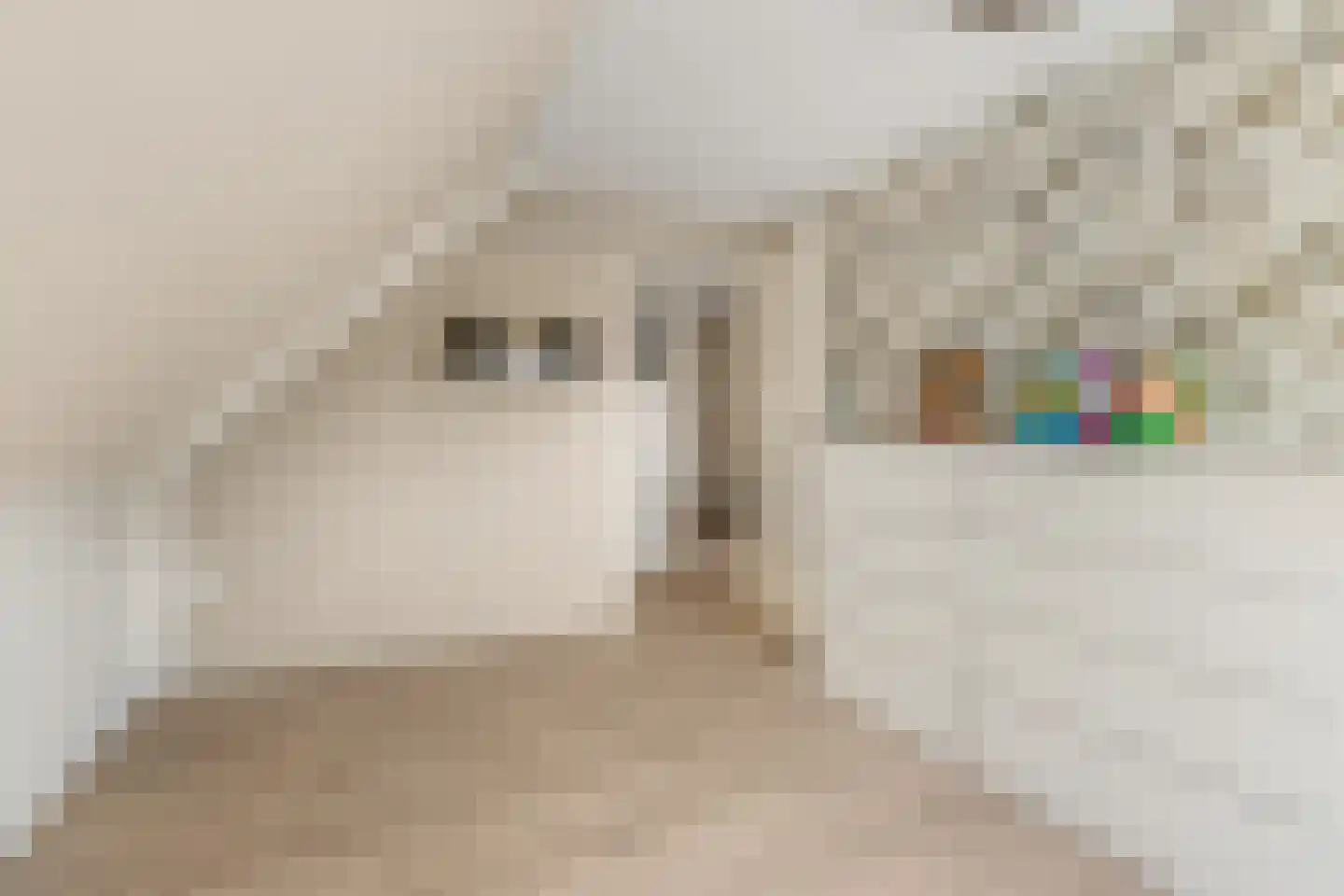 Dorpsstraat 34 Benthuizen thumbnail 21