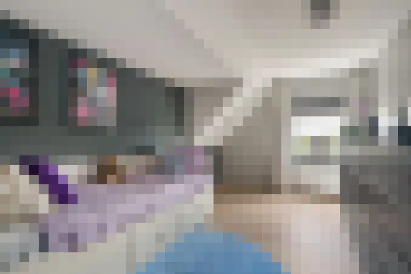 Dorpsstraat 34 Benthuizen thumbnail 24