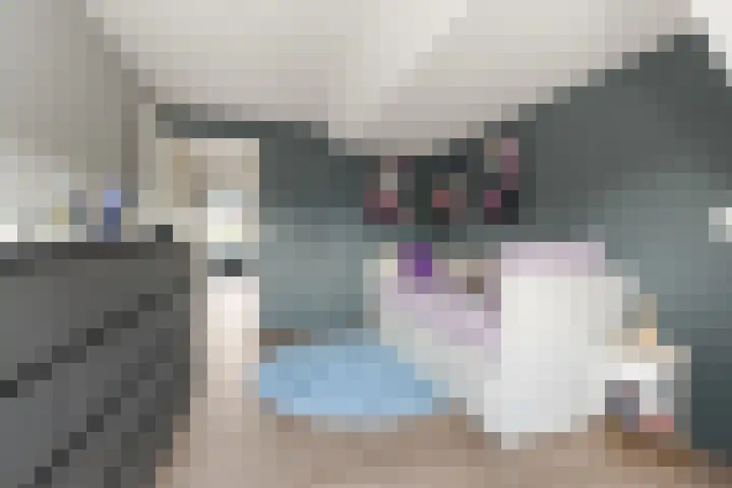 Dorpsstraat 34 Benthuizen thumbnail 25