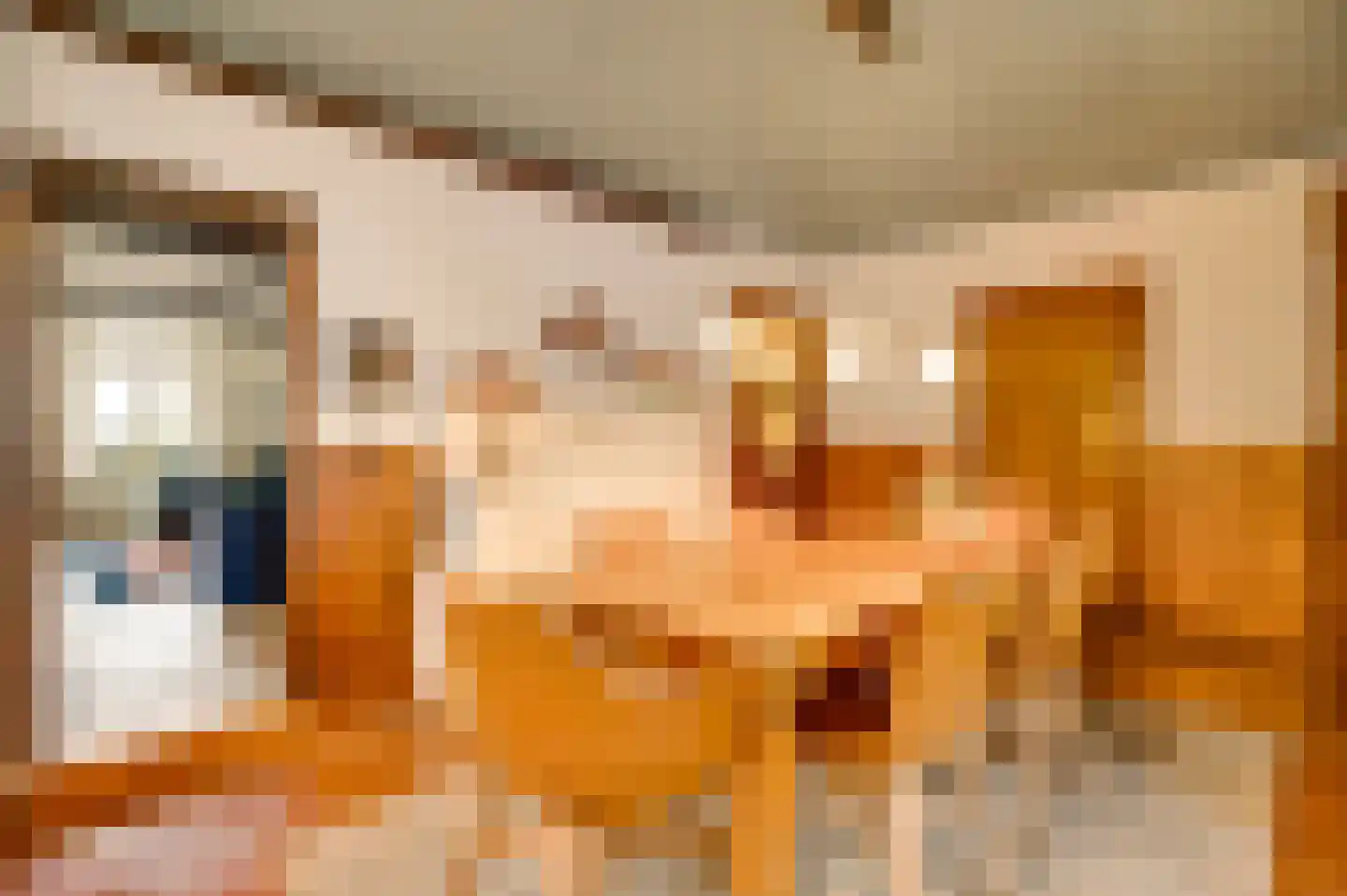 Dorpsstraat 34 Buggenum thumbnail 14