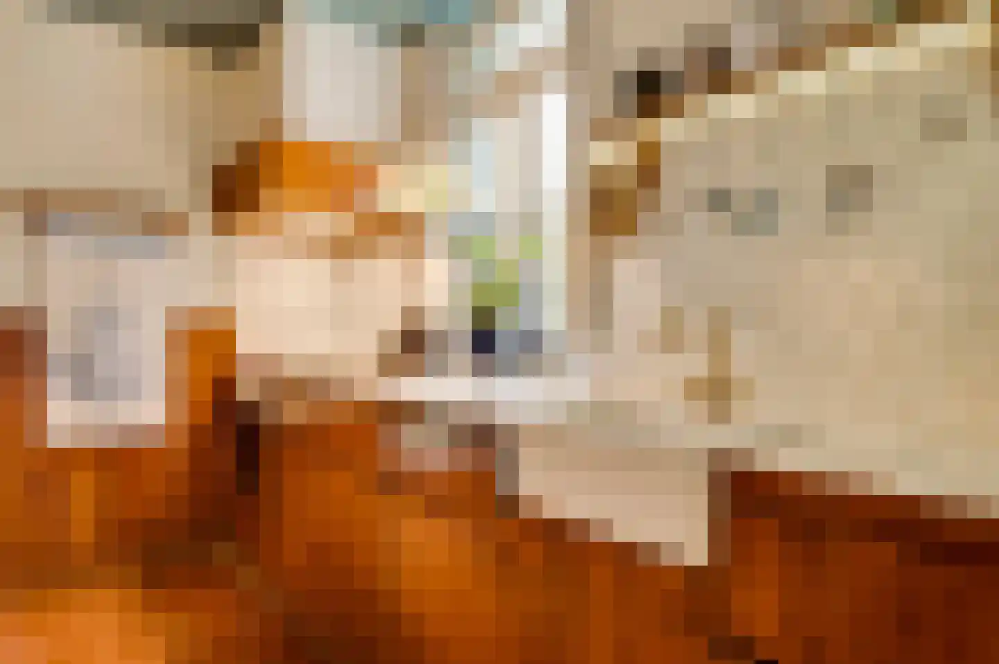 Dorpsstraat 34 Buggenum thumbnail 16