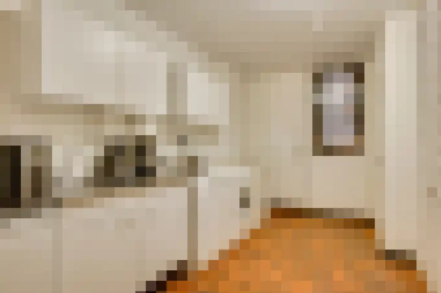 Dorpsstraat 34 Buggenum thumbnail 20