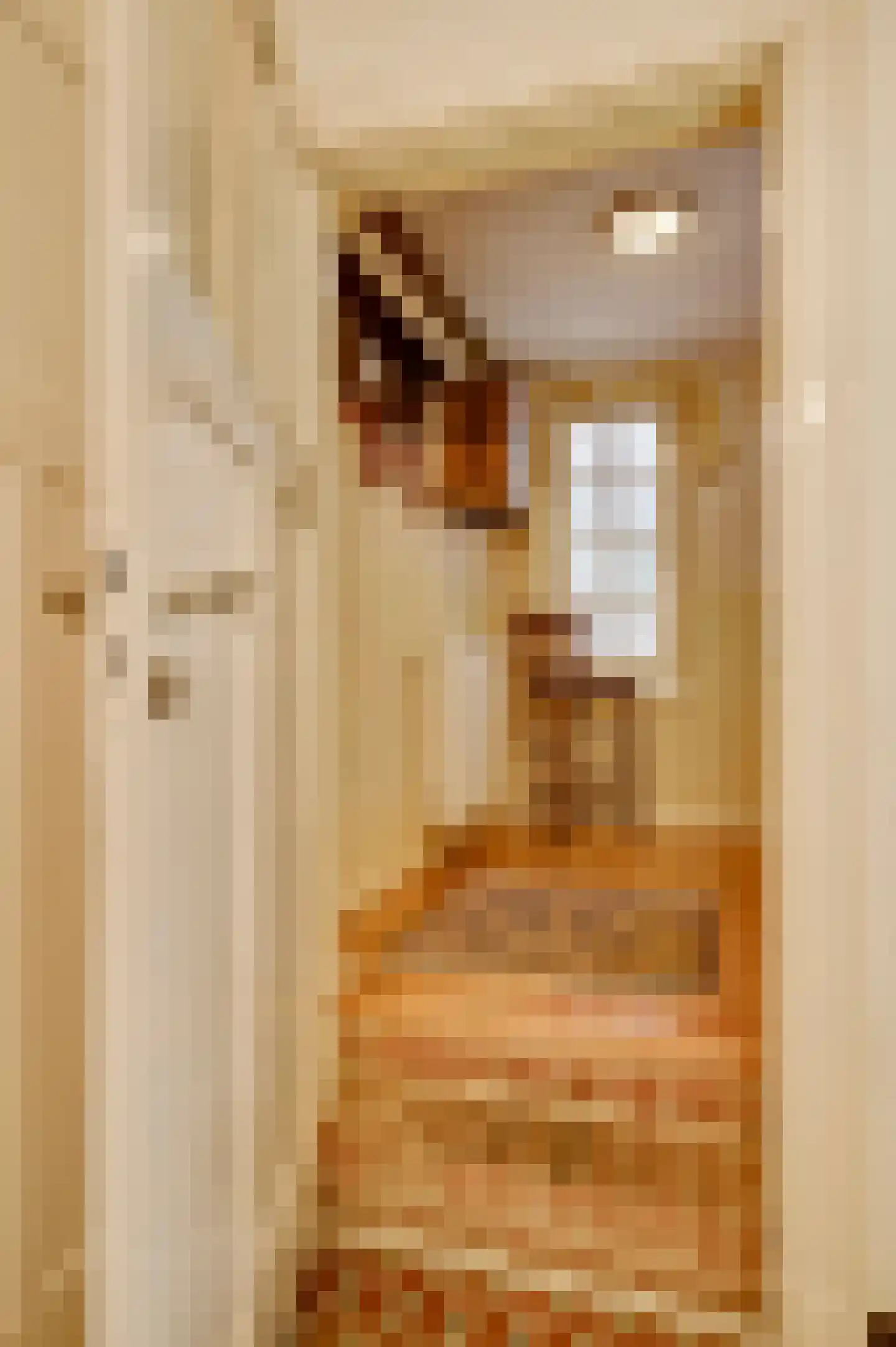 Dorpsstraat 34 Buggenum thumbnail 29