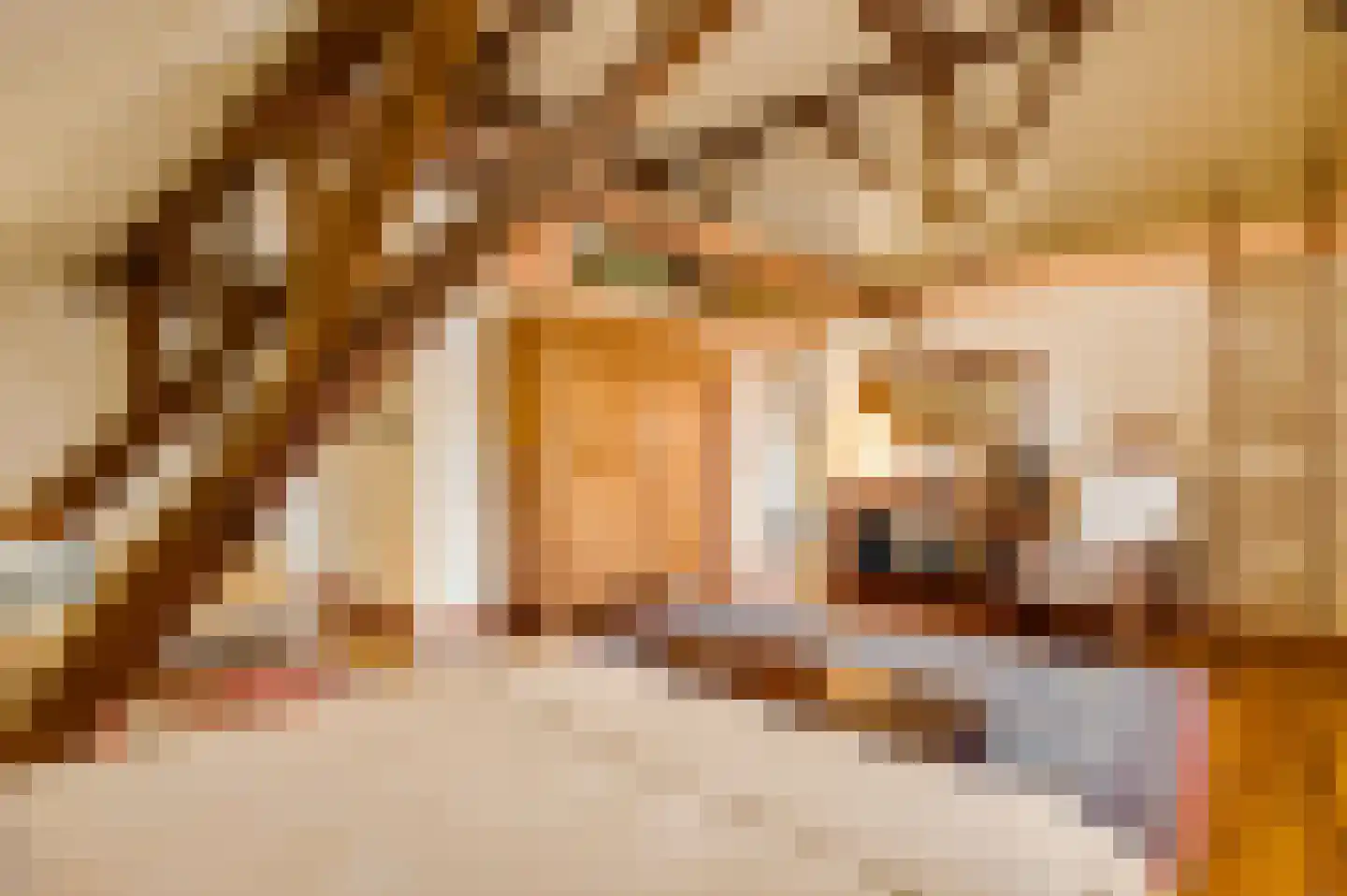Dorpsstraat 34 Buggenum thumbnail 35