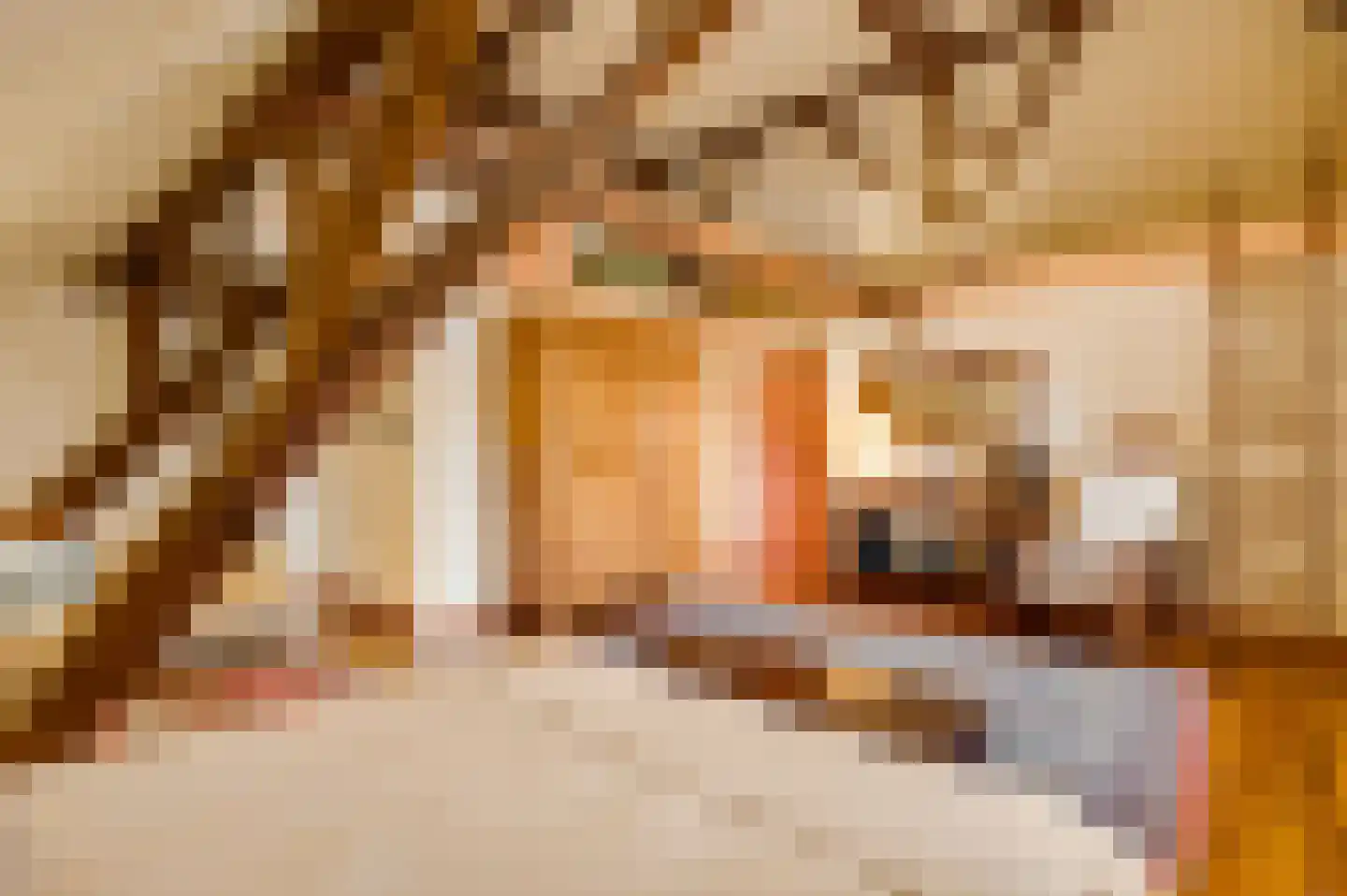 Dorpsstraat 34 Buggenum thumbnail 36