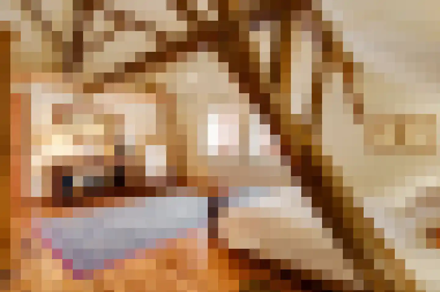 Dorpsstraat 34 Buggenum thumbnail 37