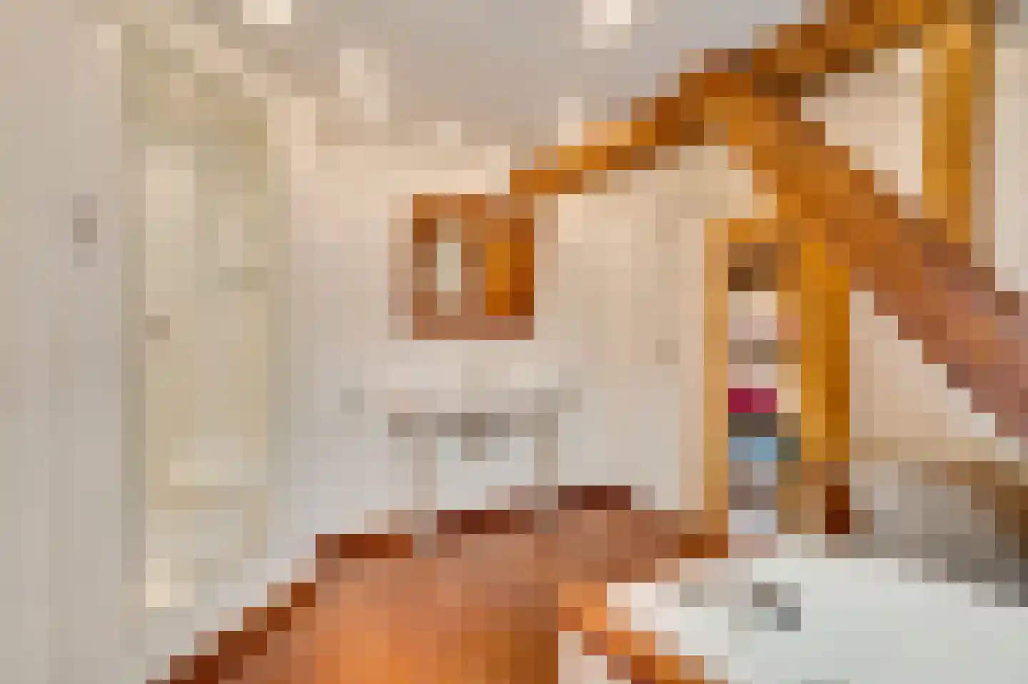Dorpsstraat 34 Buggenum thumbnail 40