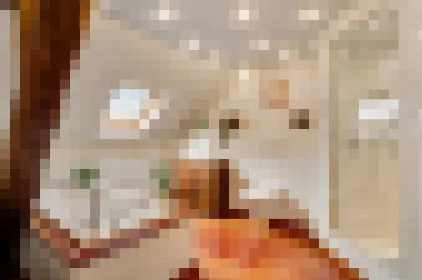 Dorpsstraat 34 Buggenum thumbnail 41
