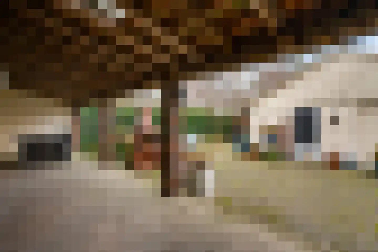 Dorpsstraat 34 Buggenum thumbnail 45