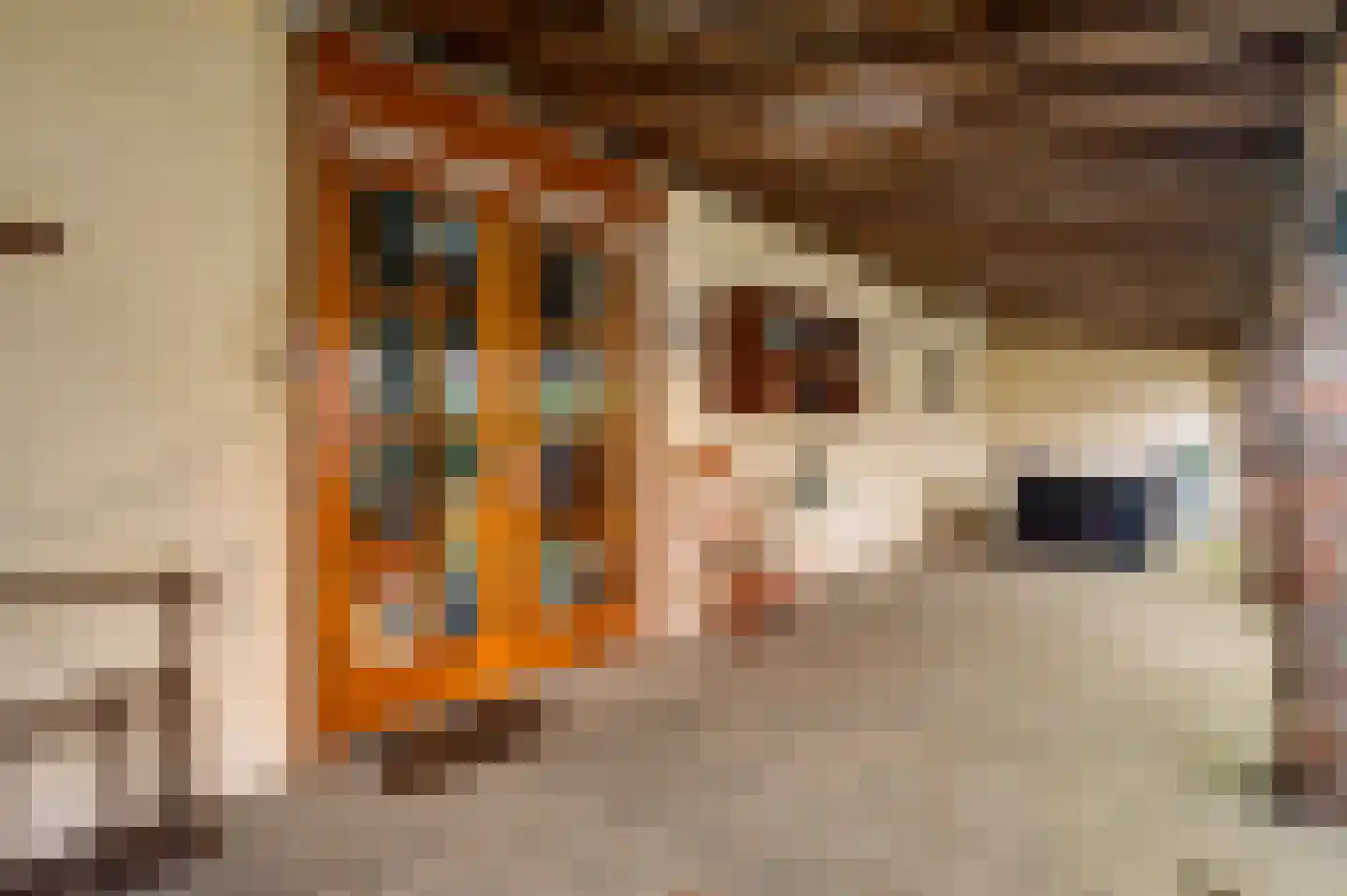 Dorpsstraat 34 Buggenum thumbnail 47