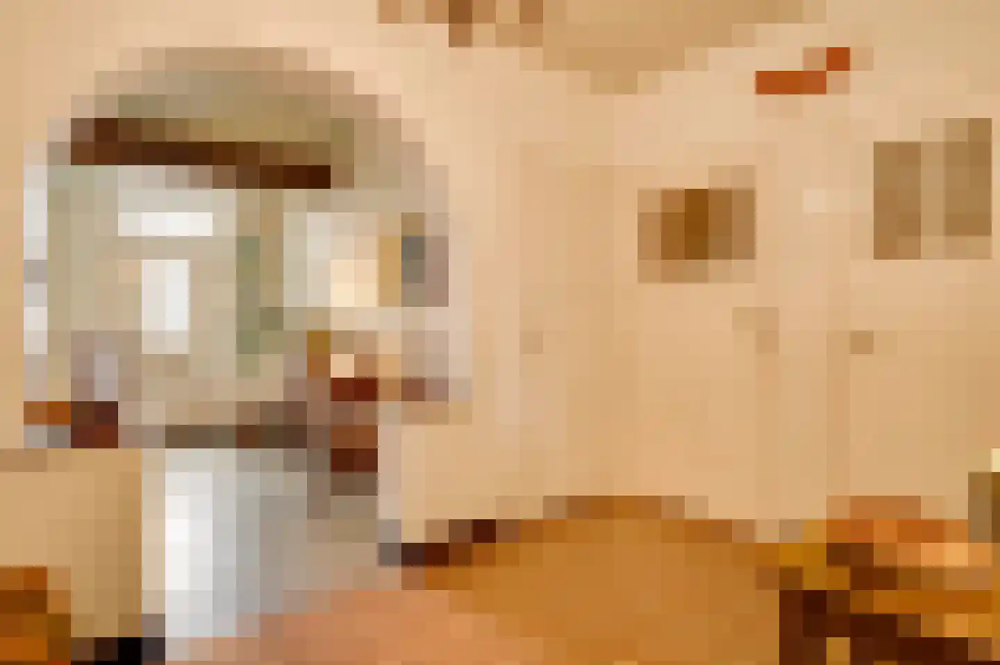 Dorpsstraat 34 Buggenum thumbnail 5