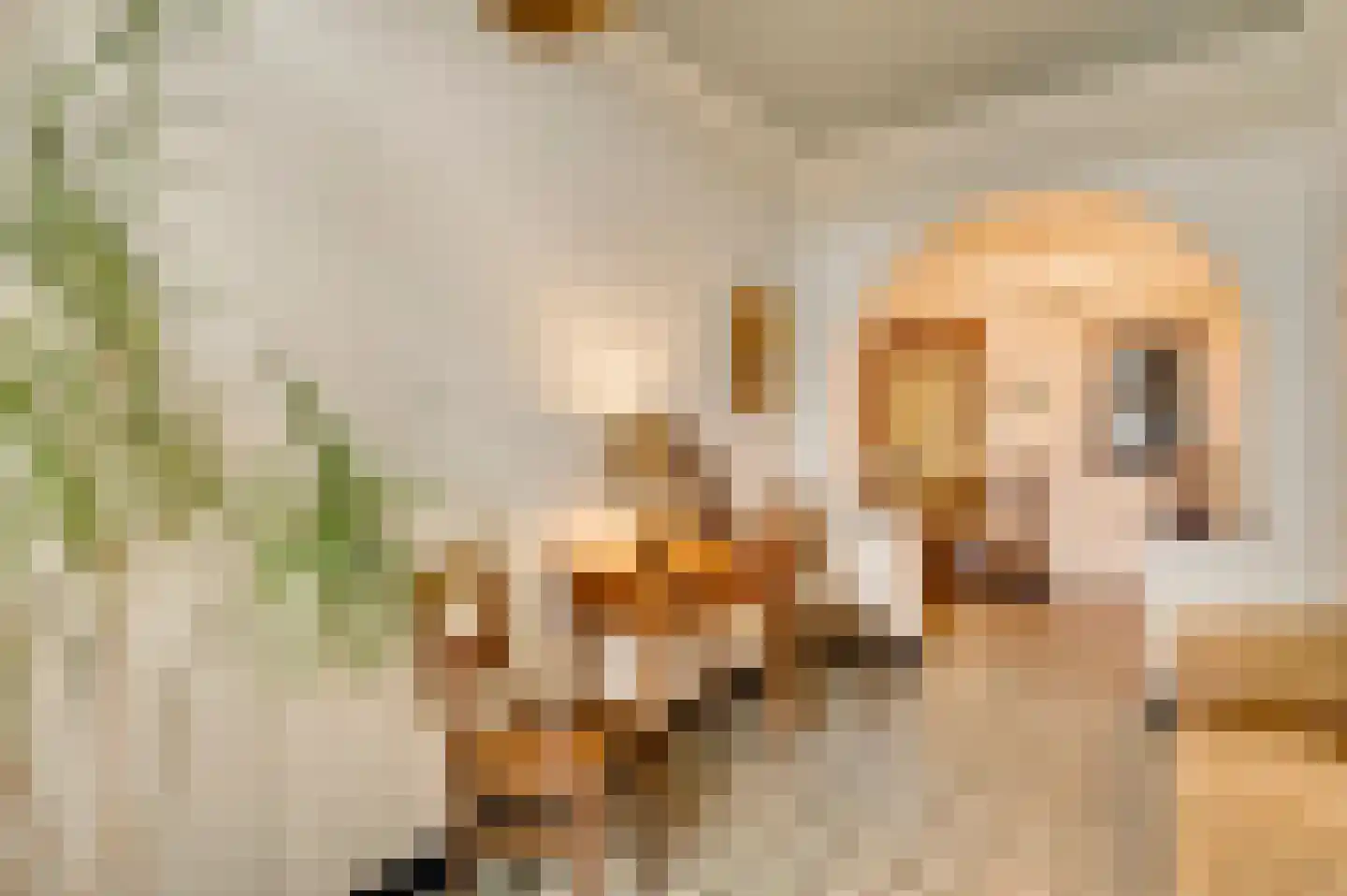 Dorpsstraat 34 Buggenum thumbnail 6