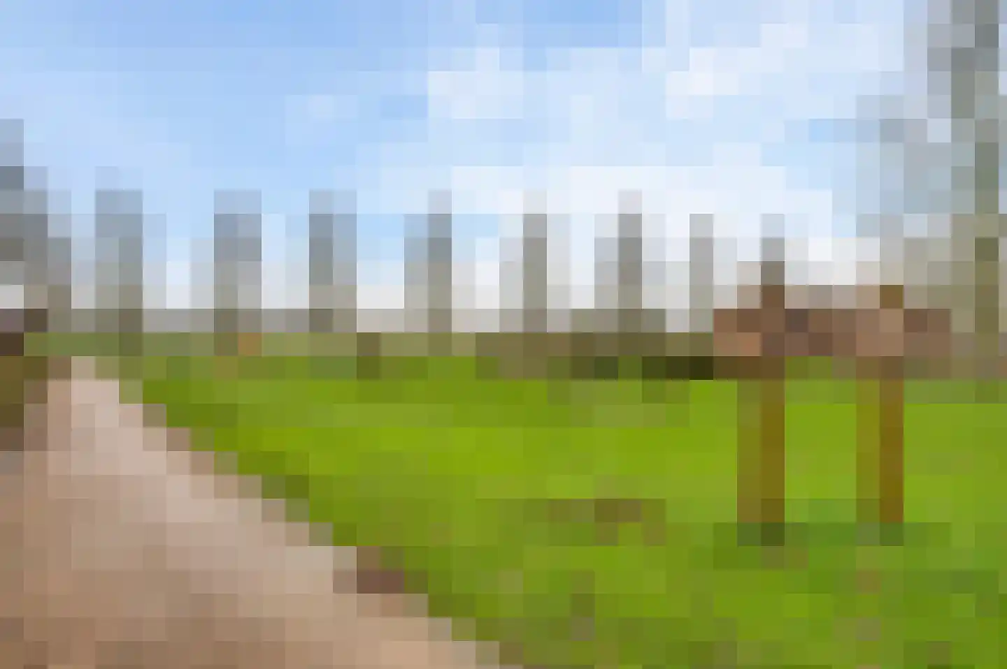 Dorpsstraat 34 Buggenum thumbnail 67