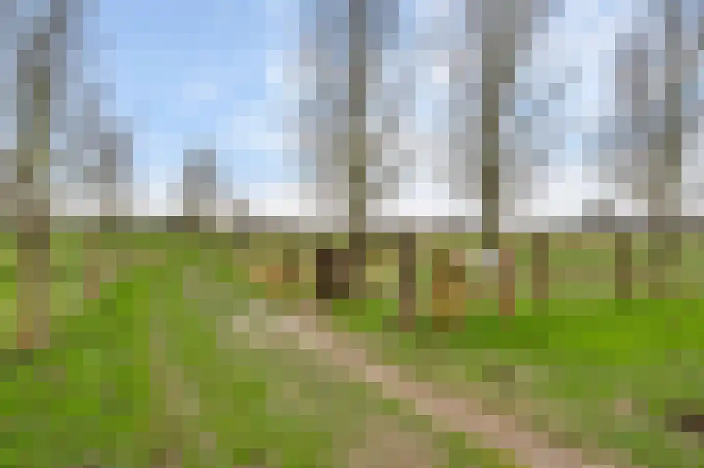 Dorpsstraat 34 Buggenum thumbnail 69