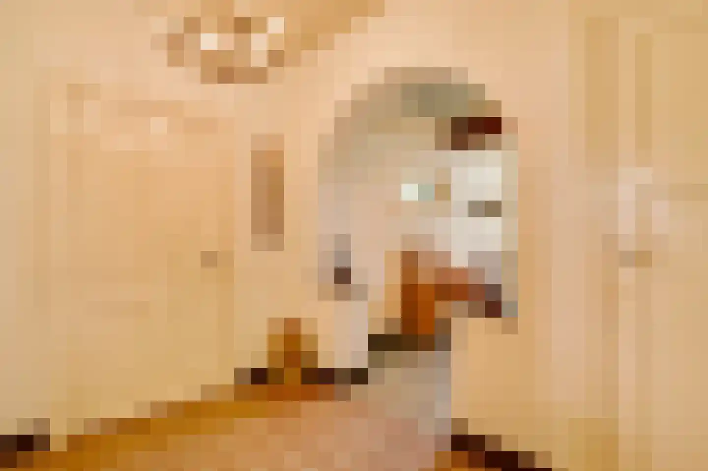 Dorpsstraat 34 Buggenum thumbnail 8