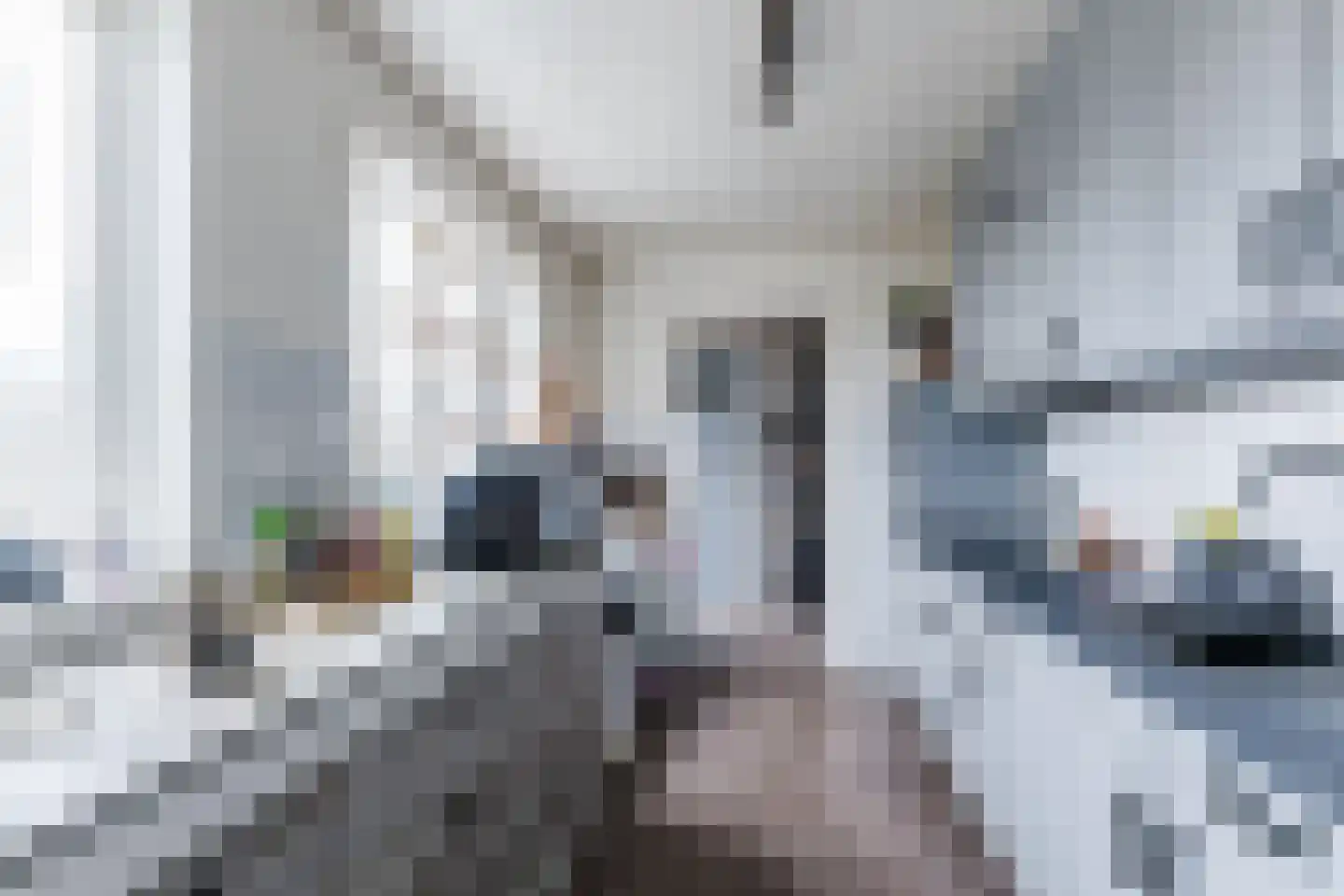 Dorpsstraat 34 Goirle thumbnail 7