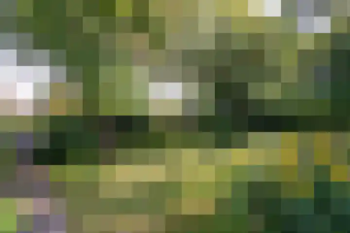 Dorpsstraat 34 Haule thumbnail 10