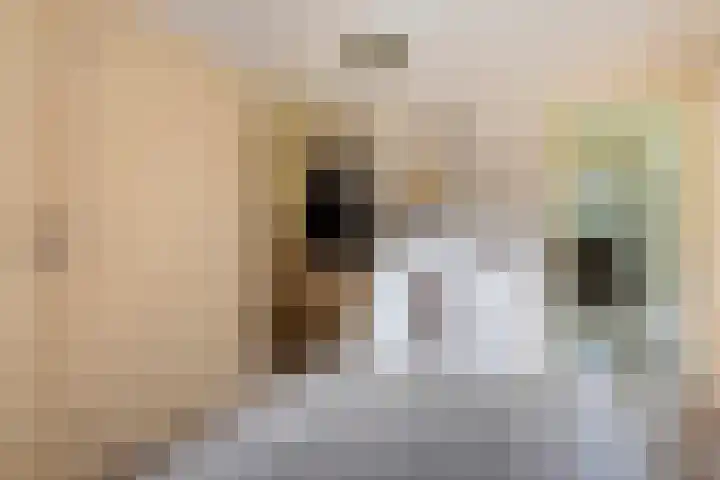 Dorpsstraat 34 Haule thumbnail 13
