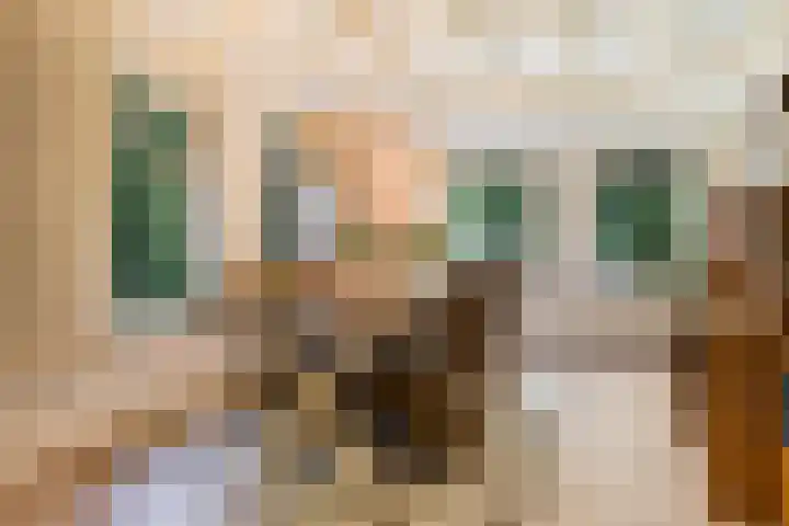 Dorpsstraat 34 Haule thumbnail 17