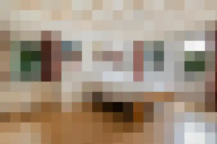 Dorpsstraat 34 Haule thumbnail 22