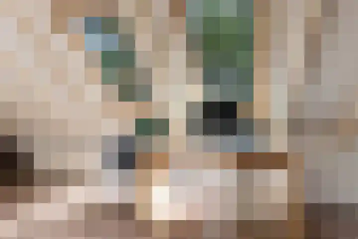 Dorpsstraat 34 Haule thumbnail 35