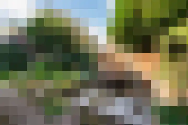 Dorpsstraat 34 Haule thumbnail 38
