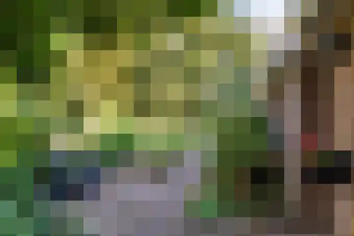 Dorpsstraat 34 Haule thumbnail 39