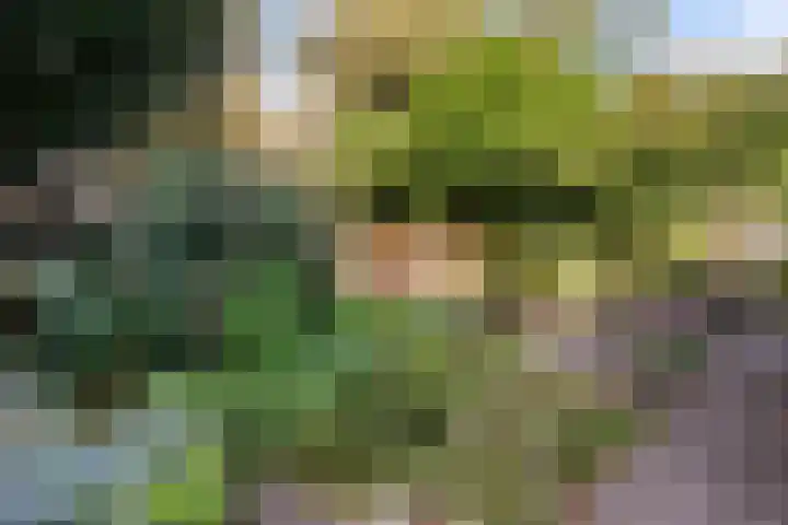 Dorpsstraat 34 Haule thumbnail 4