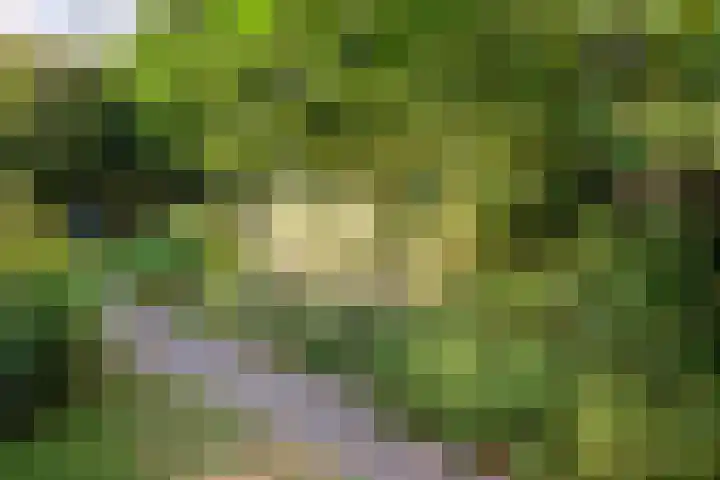 Dorpsstraat 34 Haule thumbnail 40