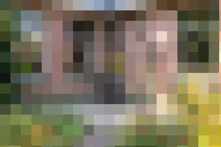 Dorpsstraat 34 Haule thumbnail 41