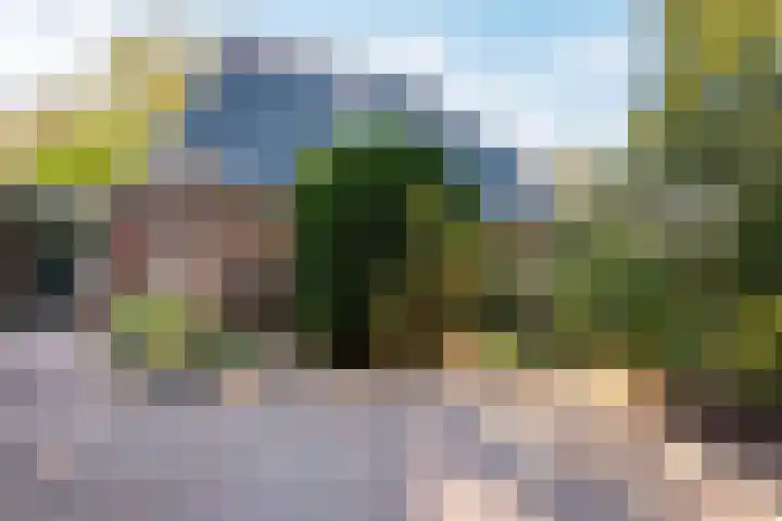 Dorpsstraat 34 Haule thumbnail 42