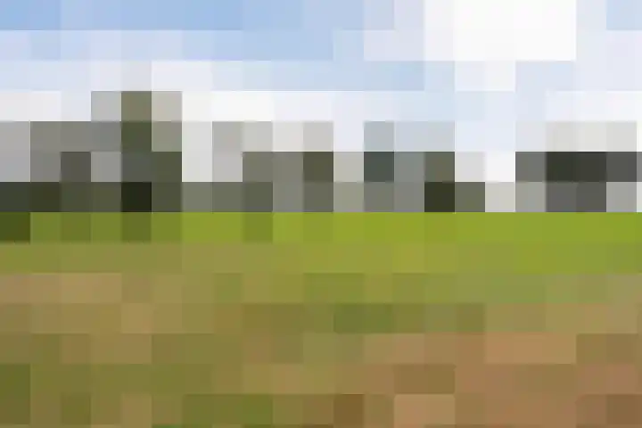 Dorpsstraat 34 Haule thumbnail 45
