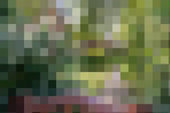 Dorpsstraat 34 Haule thumbnail 6