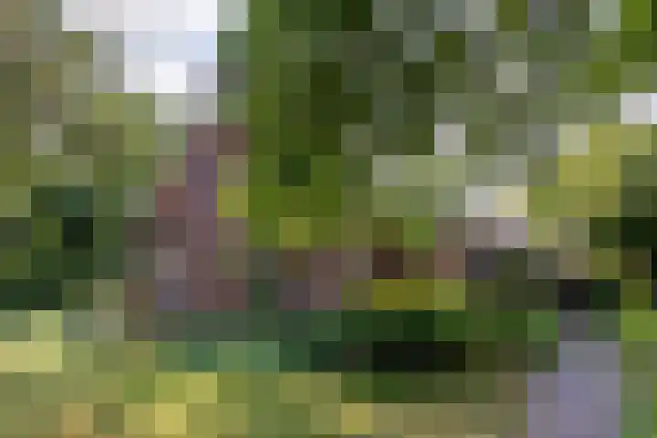 Dorpsstraat 34 Haule thumbnail 7
