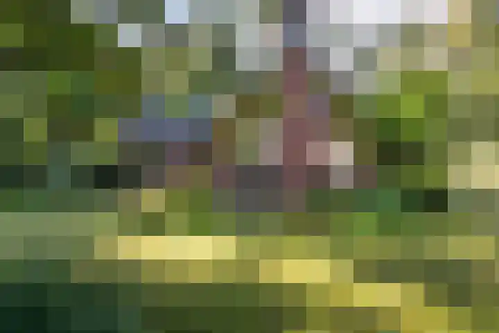 Dorpsstraat 34 Haule thumbnail 8