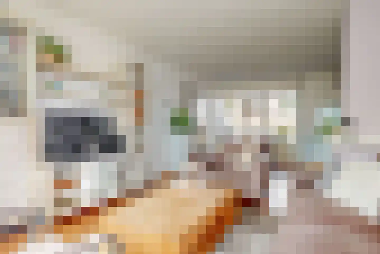Dorpsstraat 34 Zegveld thumbnail 6